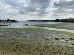 Tide still quite low